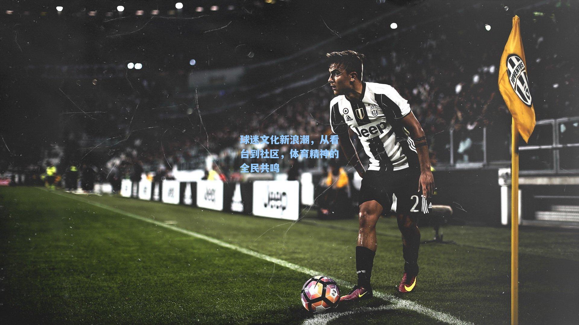 问鼎娱乐下载_球迷文化新浪潮，从看台到社区，体育精神的全民共鸣