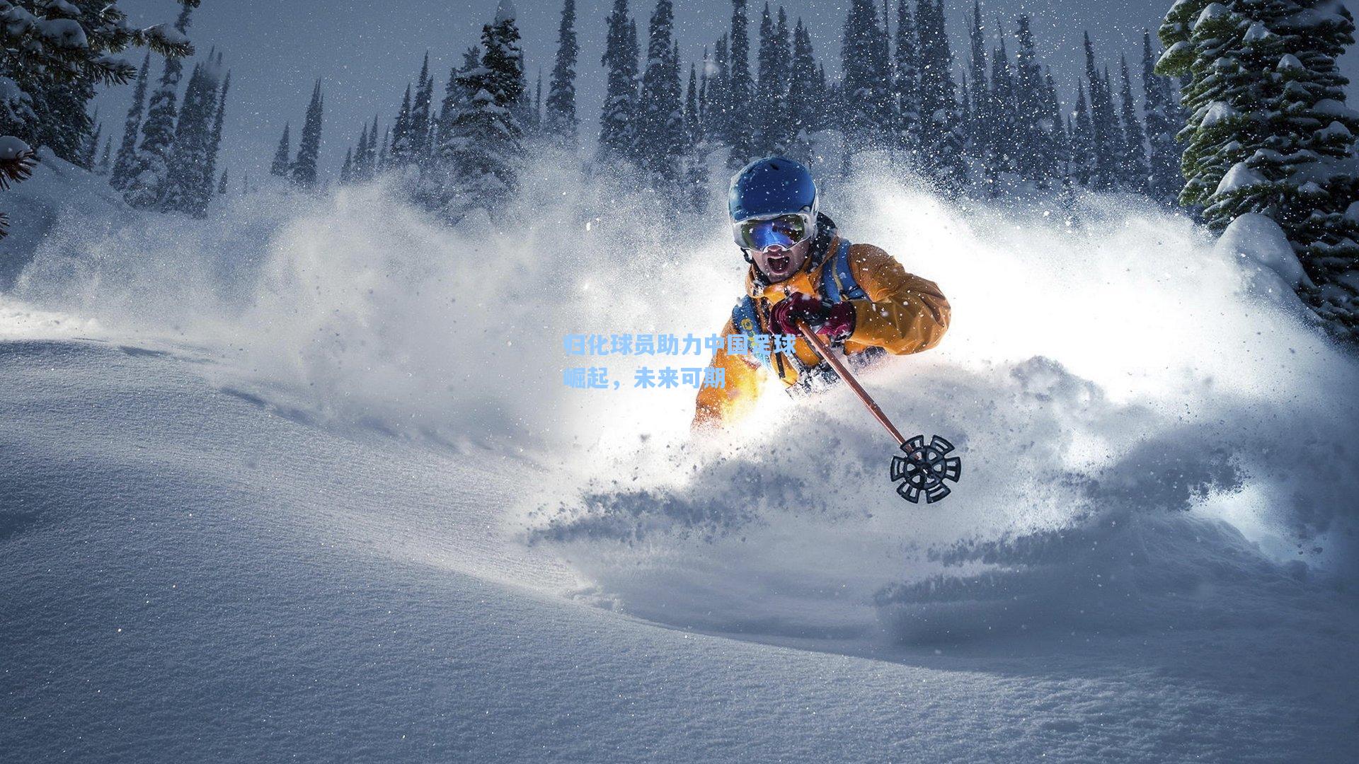 问鼎官网-归化球员助力中国足球崛起，未来可期