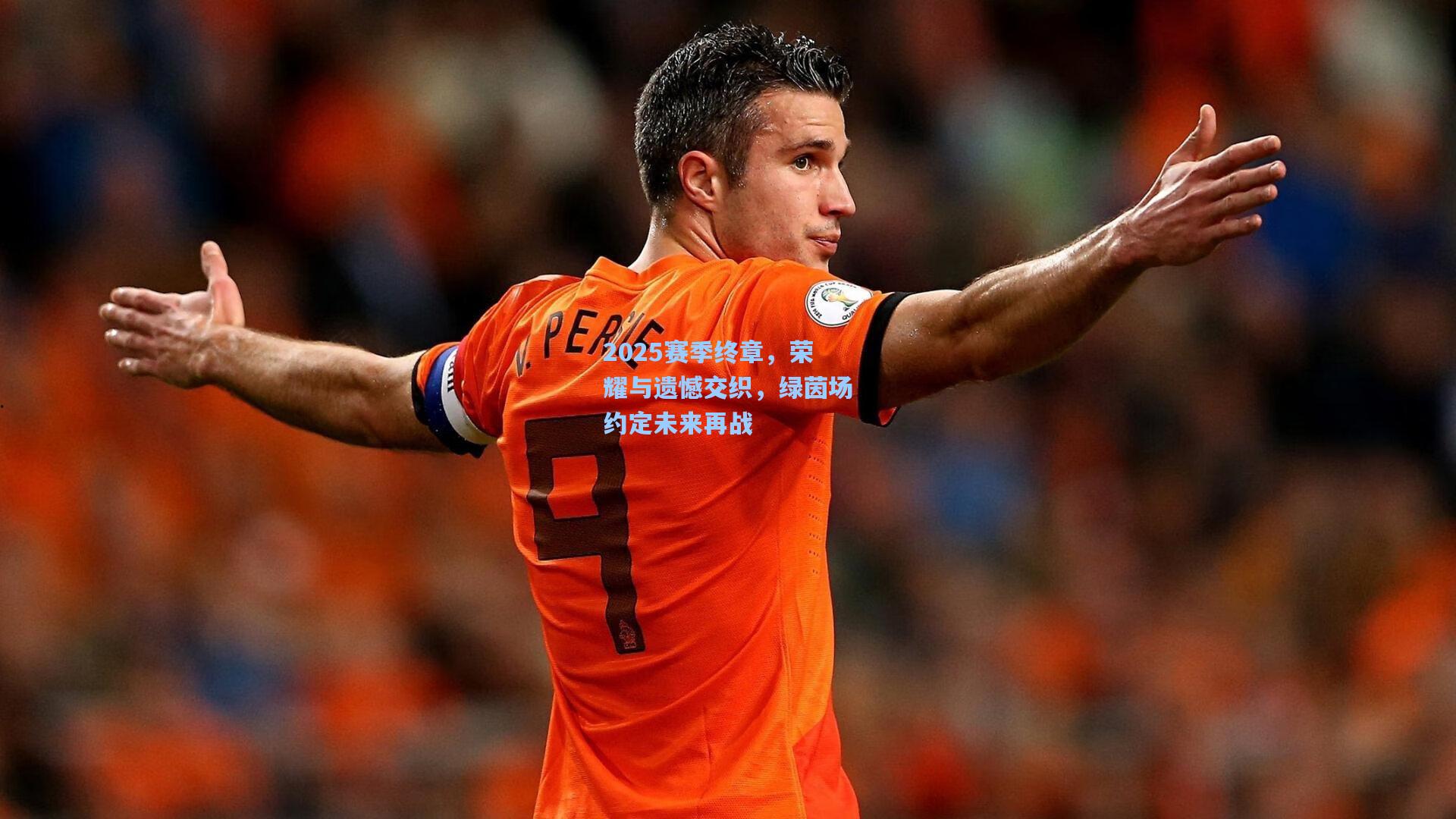问鼎娱乐下载：2025赛季终章，荣耀与遗憾交织，绿茵场约定未来再战