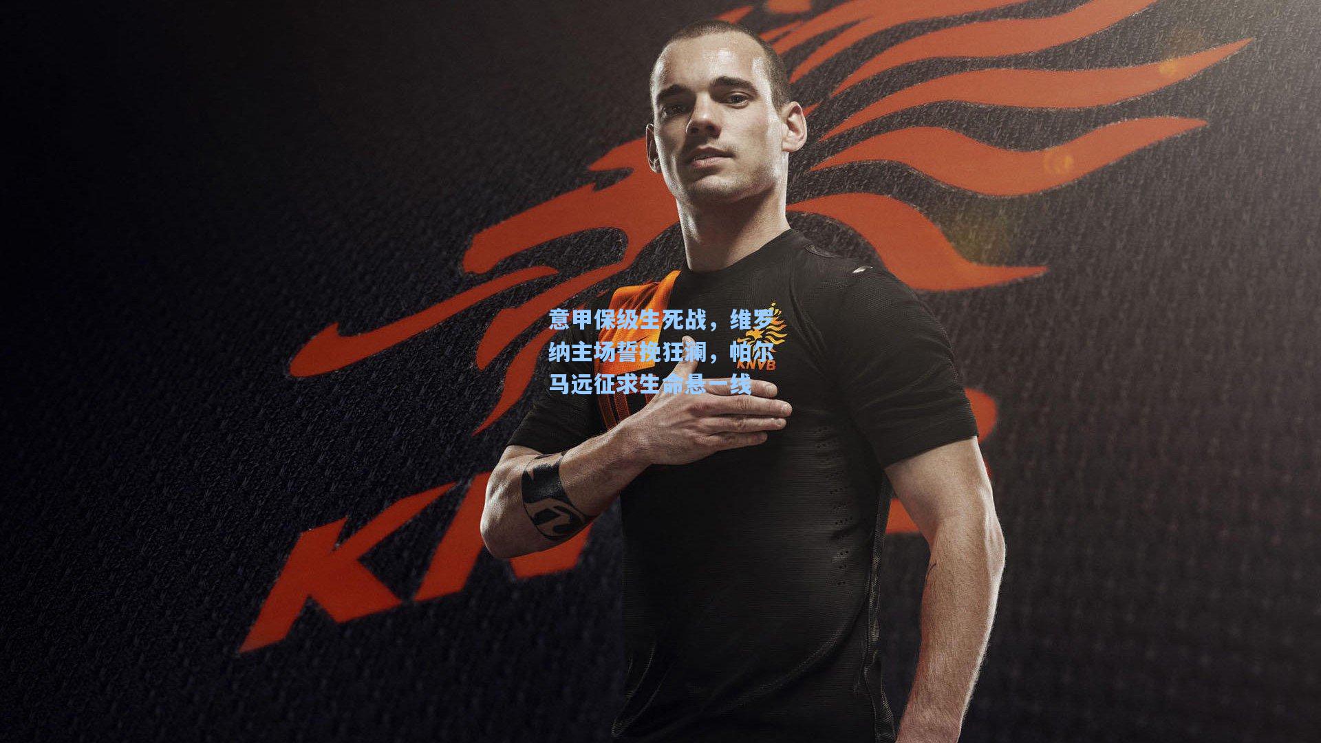 问鼎娱乐下载|意甲保级生死战，维罗纳主场誓挽狂澜，帕尔马远征求生命悬一线